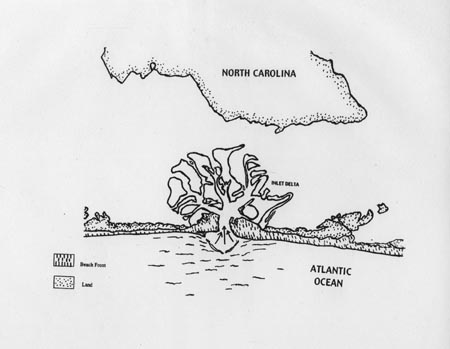 figure2.jpg (23889 bytes)